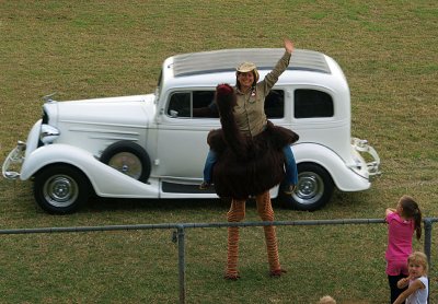 Big bird, old car