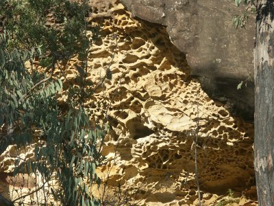 Sandstone weathering – 1