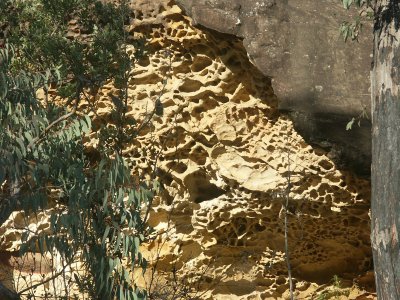 Sandstone weathering  1