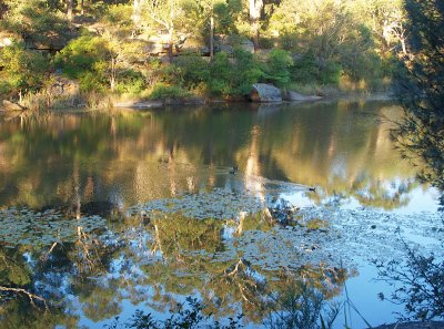 Reflected Lake Parramatta
