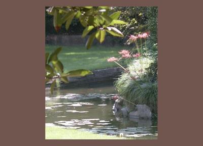 Ornamental pool at the White House