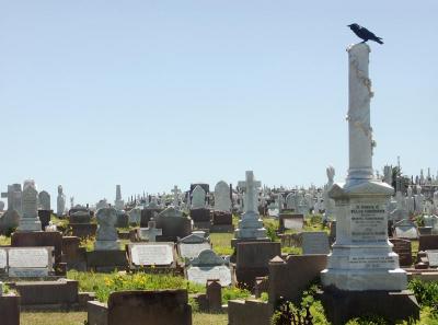 Waverley cemetery, suburban Sydney