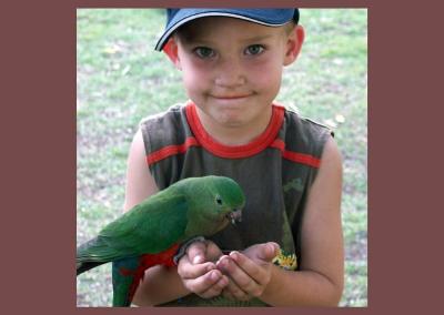 Boy with king parrot