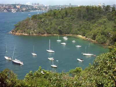 Boats in Taylor's Bay