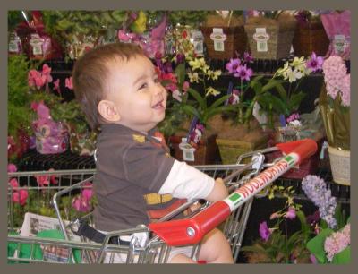 Charlie in the supermarket with flowers
