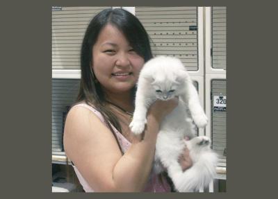 Show cat