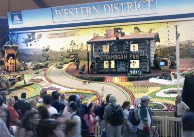 Agricultural exhibit