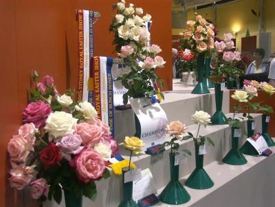 Prizewinning roses