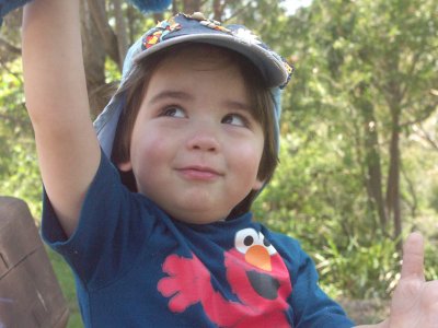 Charlie, excited at the idea of his first bushwalk