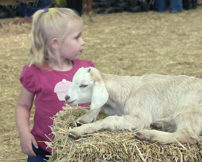 Girl meets goat