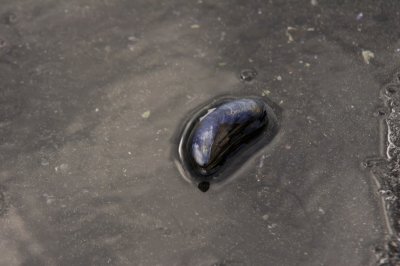 CRW_0127.jpg