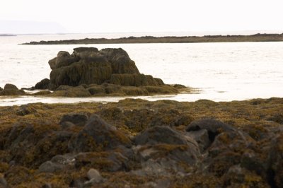 CRW_0130.jpg