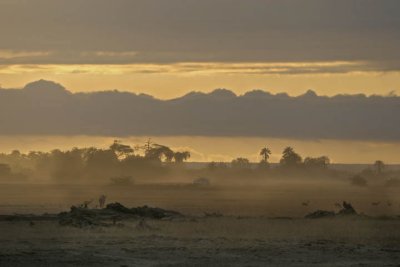 Dusty Dusk in the Masai Mara .jpg