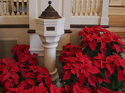 Baptismal Font with poinsettias.jpg