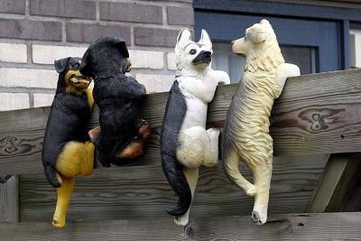 Fake doggies on a fence