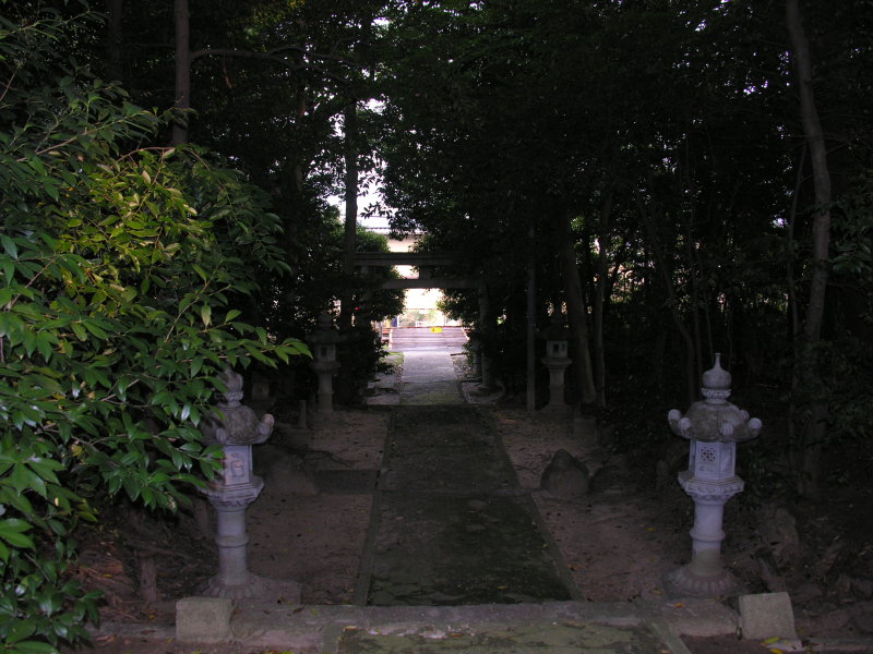 Looking down from the front of the temple.