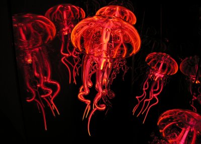 Plasma Jellyfish by Bernd Wienmayer