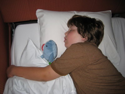 Aaaaw - a Boy and his Shark, how sweet.  First night at our little hotel in Nara, favorite hotel of the 3.