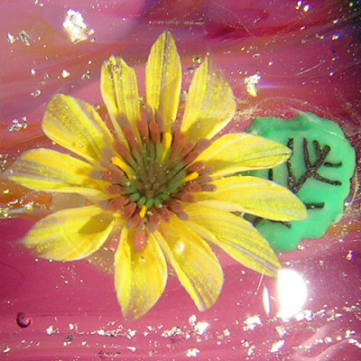 Closeup of a sunflower