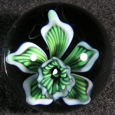 Green Orchid Dream Size: 1.16 Price: SOLD