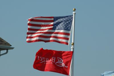 DSC_0015a.jpg
