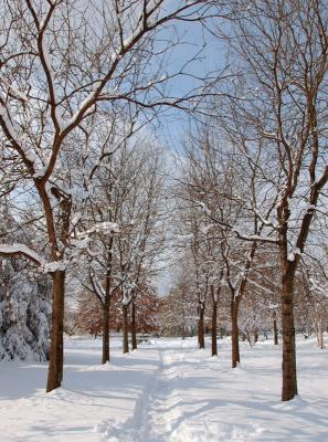 DSC_0029_rb_sm.jpg