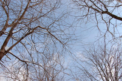 DSC_0033_ra_sm.jpg