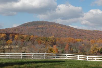 DSC_0002_sm.jpg