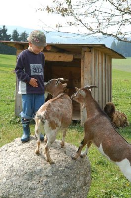070914-Bauernhof