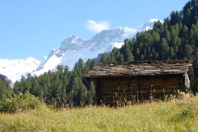 DSC_0173.jpg