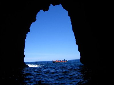 IMG_0223.jpg
