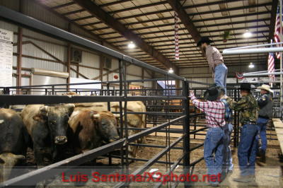 Florida State Fair