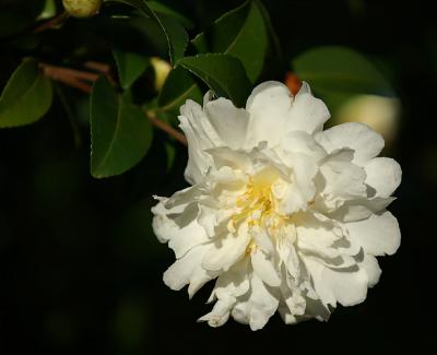 PICT4983.jpg