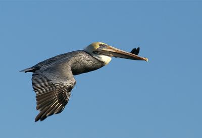 PICT5019.jpg