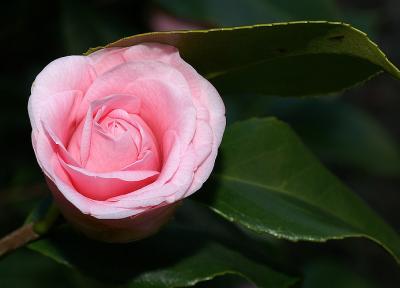 PICT5541.jpg