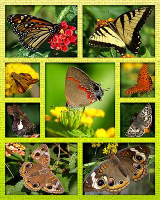 8x10_collage_mat_V.jpg