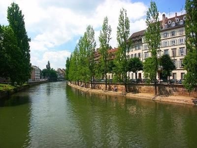 PICT2555-copy.jpg