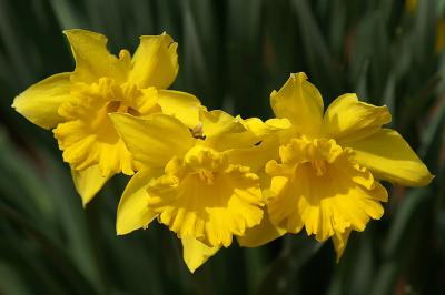 PICT5881.jpg