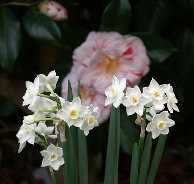 PICT5892.jpg