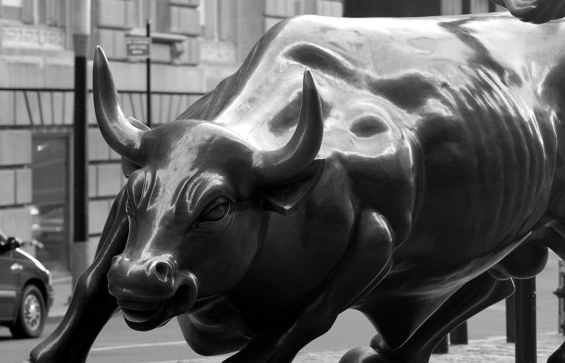 Wall Street Bull