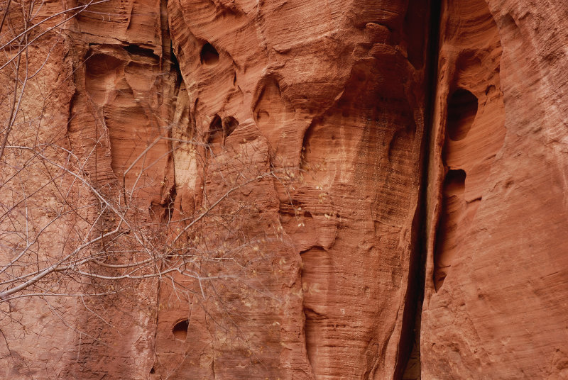 Red Hollow Canyon Orderville UT