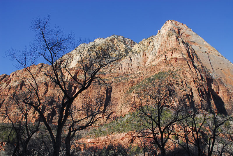 Zion Canyon Scenic Drive
