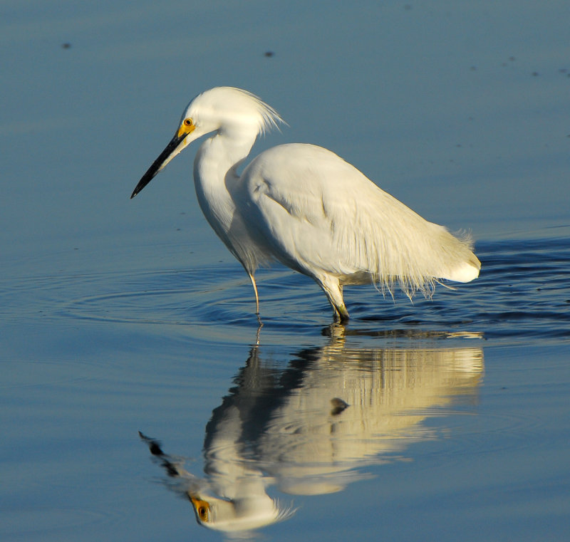 Bolsa Chica CA