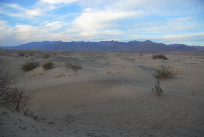 Sand Dunes