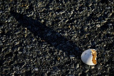 Sortir de sa coquille, c'est risqu, mais primordial !