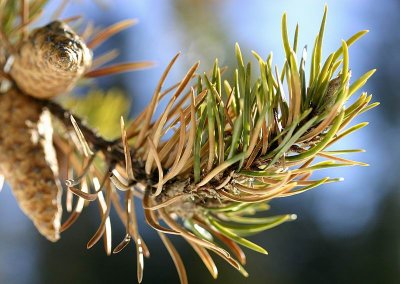 Dans la lumire du jour, renatre enfin  sa vraie nature !