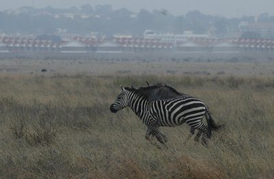 g3/17/487717/3/110247219.sfc8nRDu.jpg