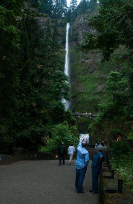 g3/17/490617/3/114811865.jaAf1h9I.jpg