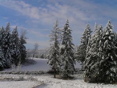 Dec. 1, New Snow