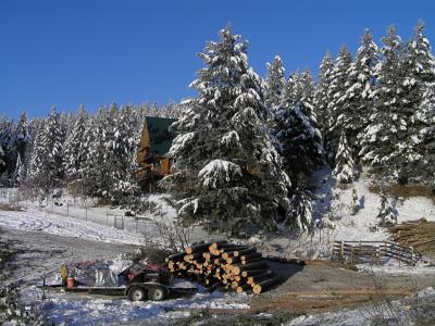 Waiting for logging truck